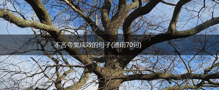 不吝夸奖成效的句子(通用70句),第1张