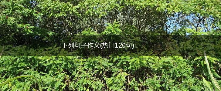 下列句子作文(热门120句),第1张
