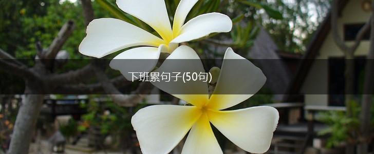 下班累句子(50句),第1张
