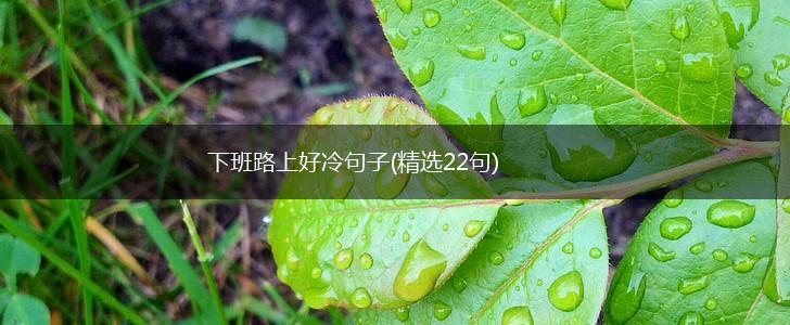下班路上好冷句子(精选22句),第1张