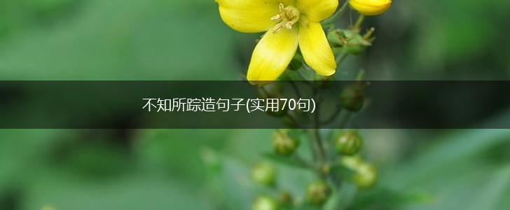 不知所踪造句子(实用70句),第1张