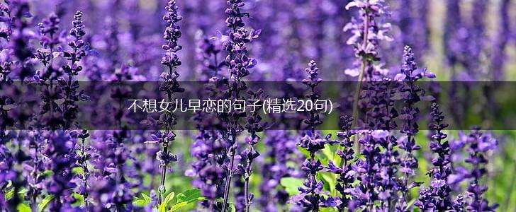 不想女儿早恋的句子(精选20句),第1张