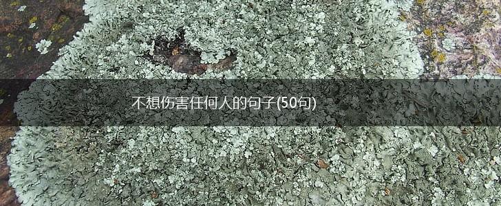 不想伤害任何人的句子(50句),第1张