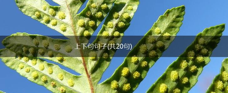 上下句句子(共20句),第1张
