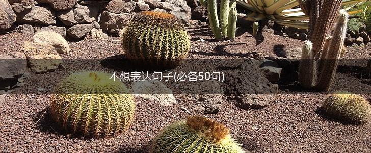 不想表达句子(必备50句),第1张