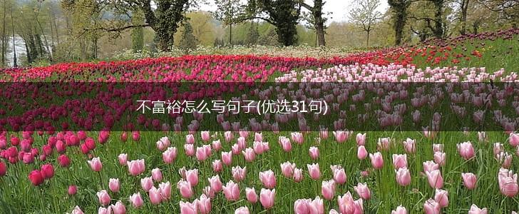 不富裕怎么写句子(优选31句),第1张