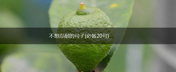 不想忍耐的句子(必备20句),第1张