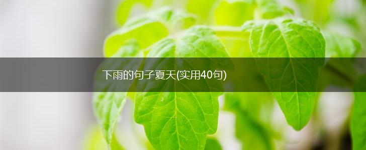 下雨的句子夏天(实用40句),第1张