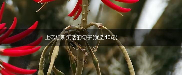 上帝想听笑话的句子(优选40句),第1张