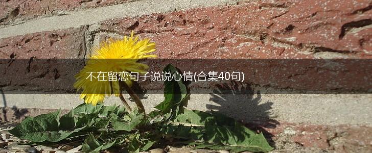 不在留恋句子说说心情(合集40句),第1张