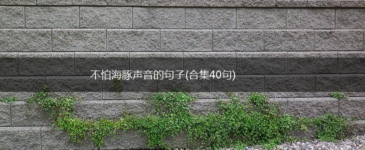 不怕海豚声音的句子(合集40句),第1张