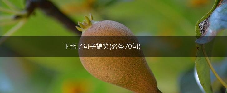 下雪了句子搞笑(必备70句),第1张