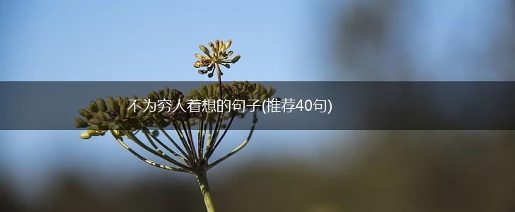 不为穷人着想的句子(推荐40句),第1张