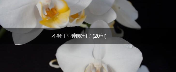 不务正业幽默句子(20句),第1张