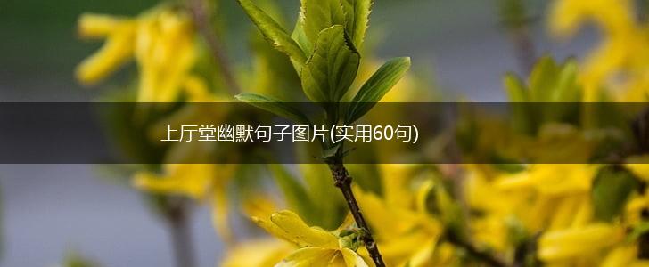 上厅堂幽默句子图片(实用60句),第1张