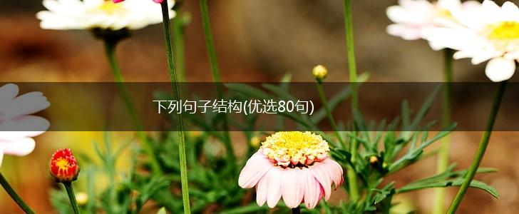 下列句子结构(优选80句),第1张