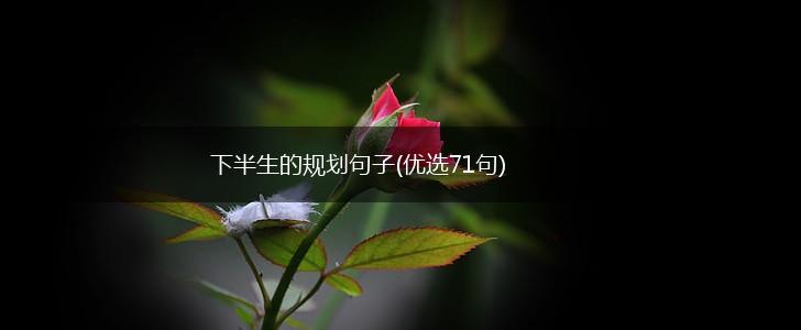 下半生的规划句子(优选71句),第1张