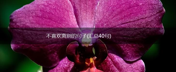 不喜欢离别的句子(汇总40句),第1张