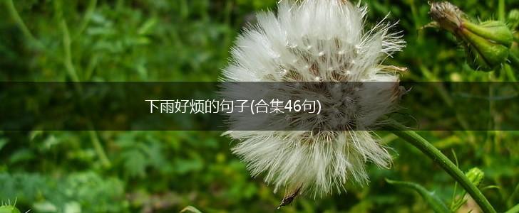 下雨好烦的句子(合集46句),第1张