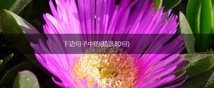 下边句子中的(精选80句),第1张