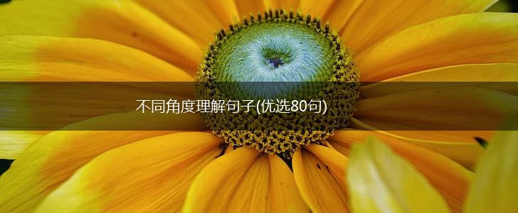 不同角度理解句子(优选80句),第1张