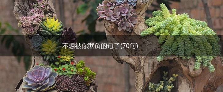 不想被你欺负的句子(70句),第1张
