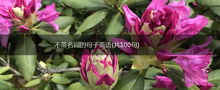 不带名词的句子英语(共100句),第1张