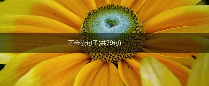不会读句子(共79句),第1张
