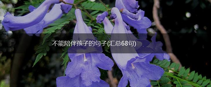 不能陪伴孩子的句子(汇总68句),第1张