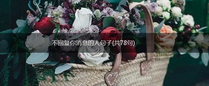 不回复你消息的人句子(共78句),第1张