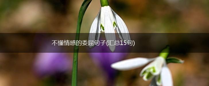 不懂情感的委屈句子(汇总15句),第1张