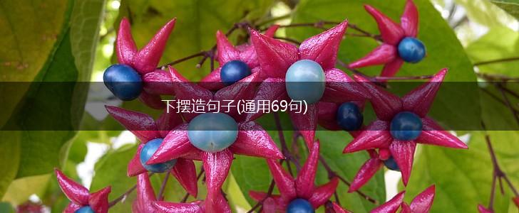 下摆造句子(通用69句),第1张