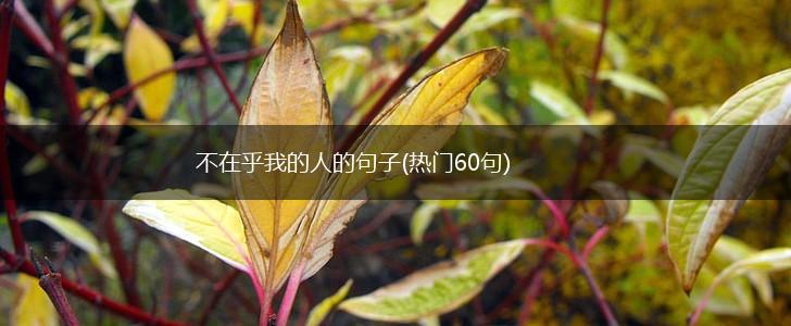 不在乎我的人的句子(热门60句),第1张