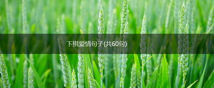 下棋爱情句子(共60句),第1张