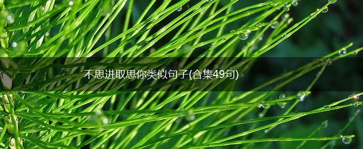 不思进取思你类似句子(合集49句),第1张