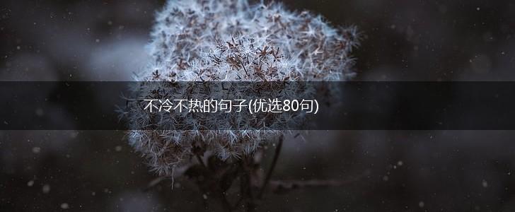 不冷不热的句子(优选80句),第1张