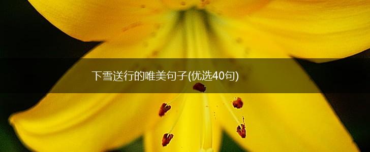 下雪送行的唯美句子(优选40句),第1张