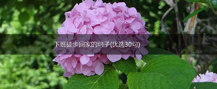 下班徒步回家的句子(优选30句),第1张