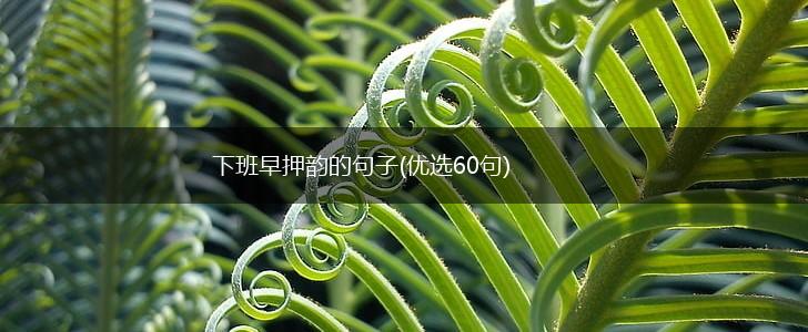 下班早押韵的句子(优选60句),第1张