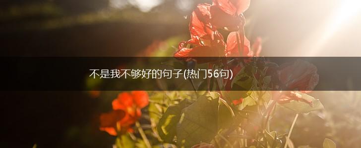 不是我不够好的句子(热门56句),第1张