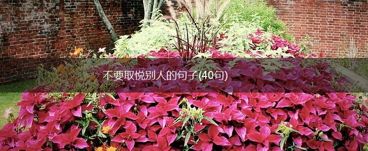 不要取悦别人的句子(40句),第1张