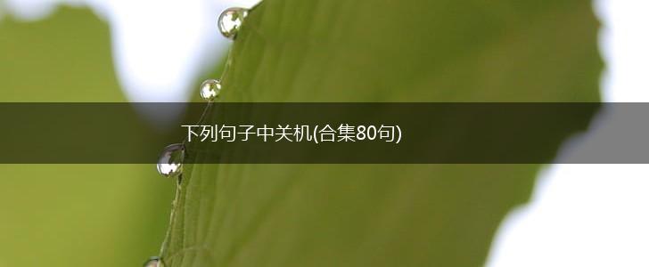 下列句子中关机(合集80句),第1张
