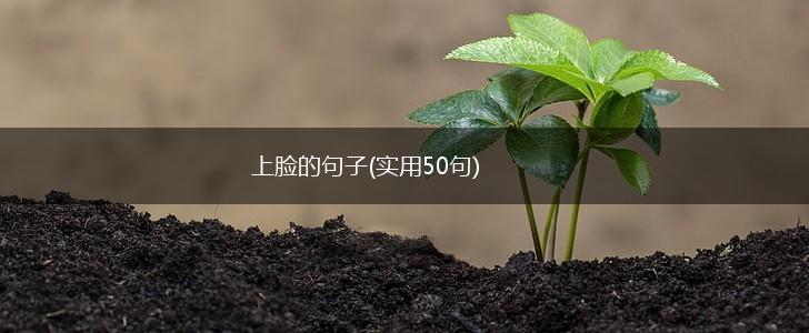 上脸的句子(实用50句),第1张