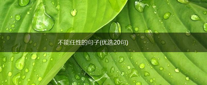 不能任性的句子(优选20句),第1张