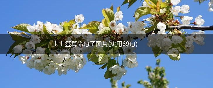 上上签算命句子图片(实用69句),第1张