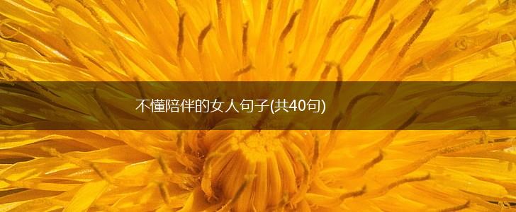 不懂陪伴的女人句子(共40句),第1张