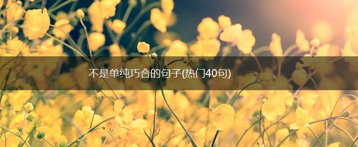 不是单纯巧合的句子(热门40句),第1张