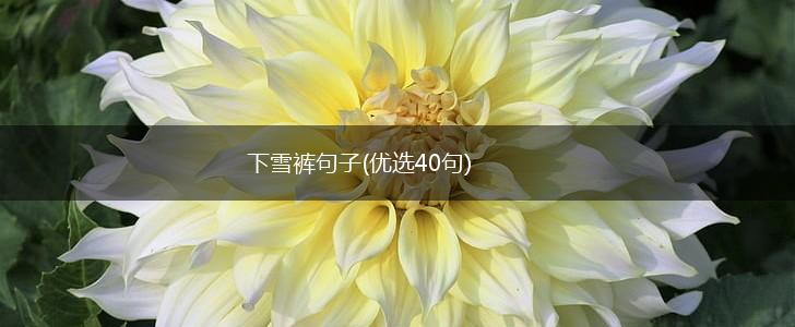 下雪裤句子(优选40句),第1张