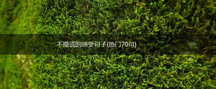 不撒谎的感受句子(热门70句),第1张