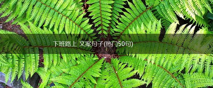 下班路上 文案句子(热门50句),第1张